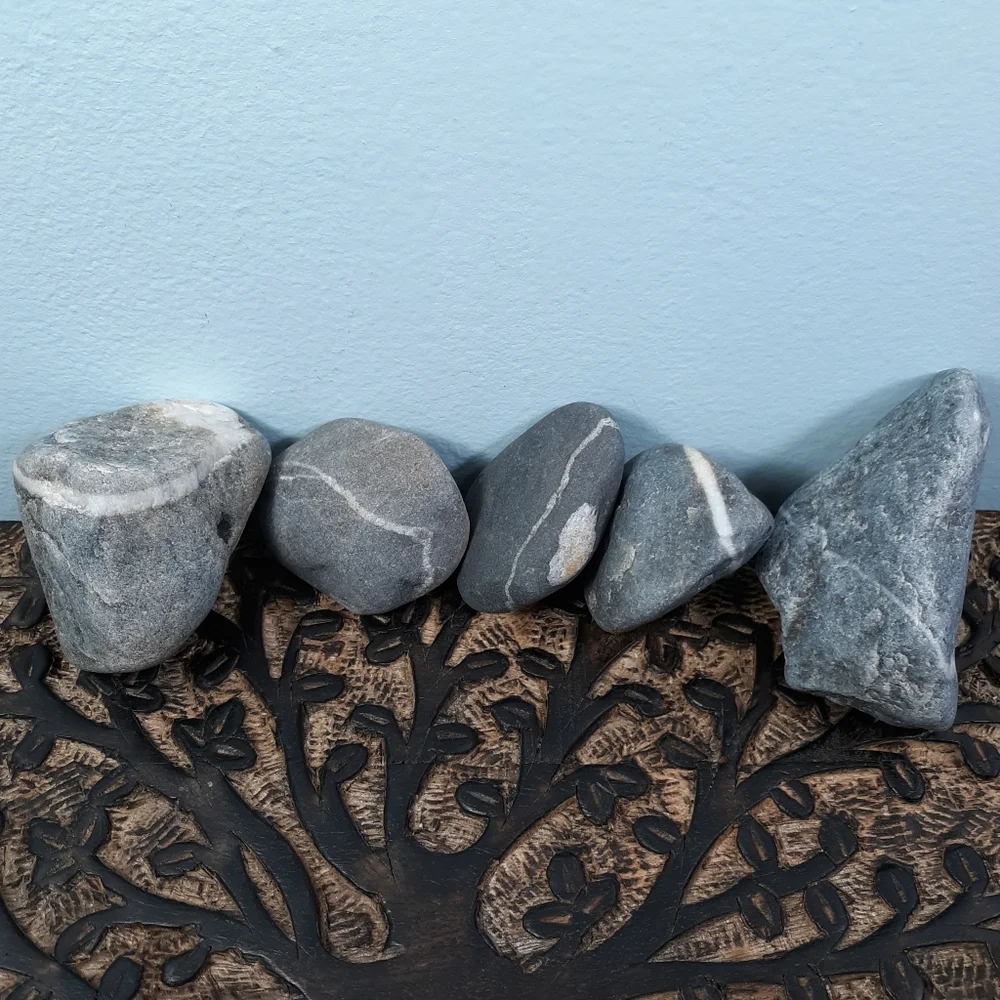 5 Banded Stones East Coast Beach Rocks Raw Rough Mineral Specimens Gray White